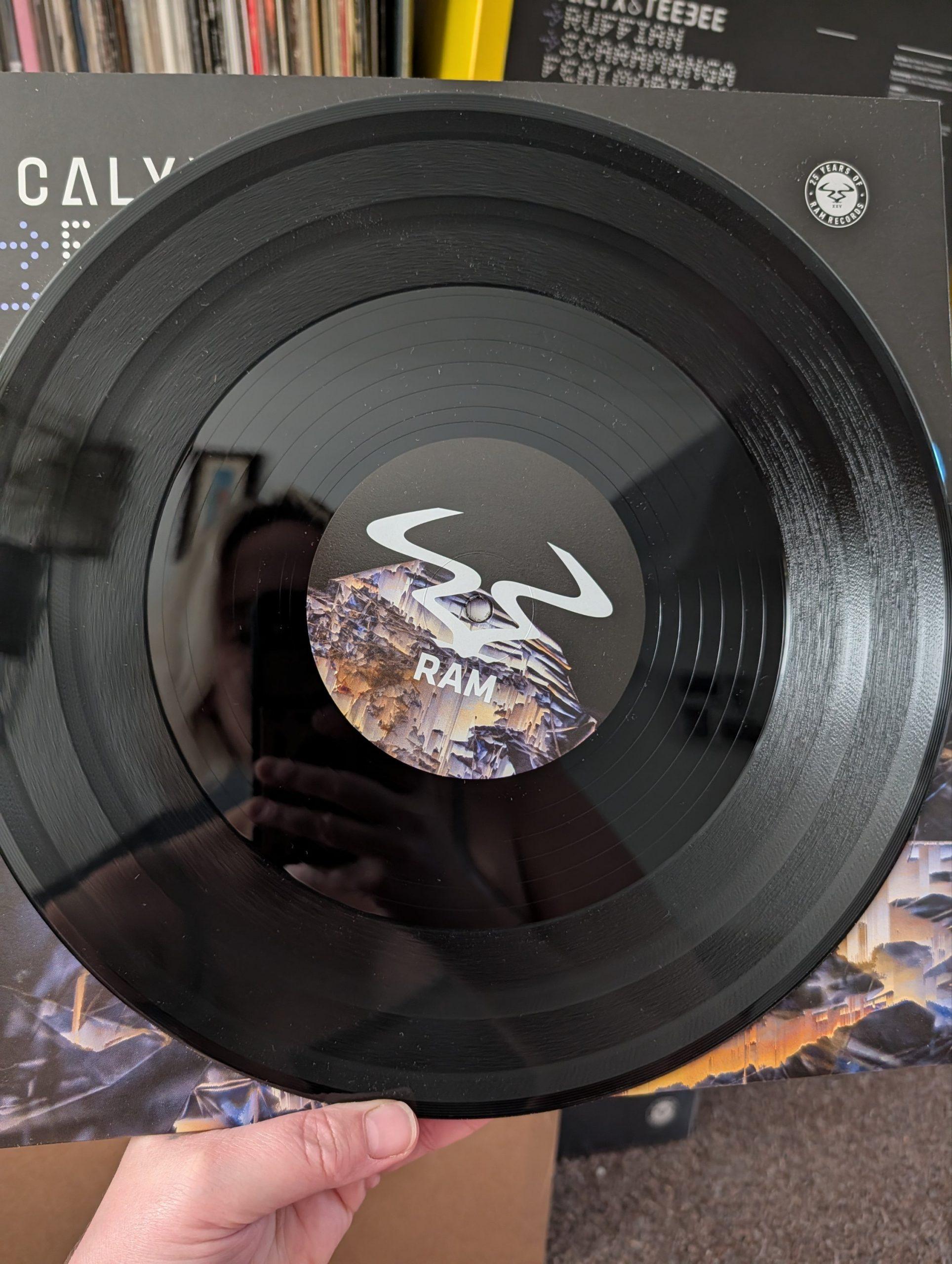 Calyx & Teebee - Ruffian/Scaramanga (12") - Image 5