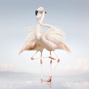 Rustie - Green Language (LP)