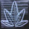 Dr. Dre - 2001 (LP) - Image 2