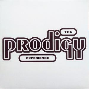 The Prodigy - Experience (LP)