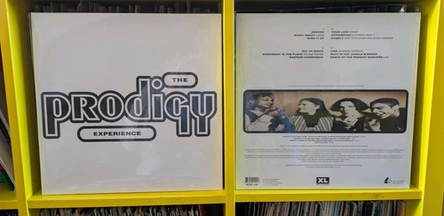 The Prodigy - Experience