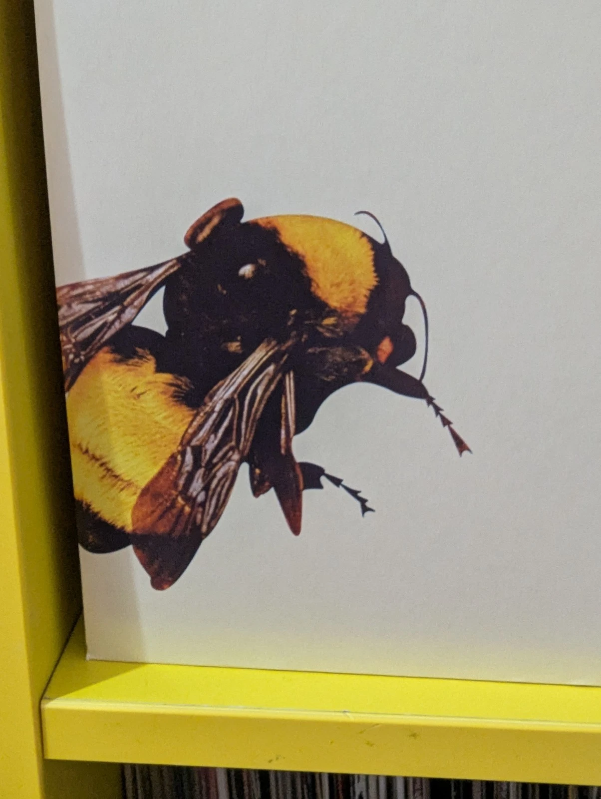 Tyler, The Creator - Flower Boy (LP) - Image 7